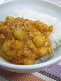 スパイス嫌いのスパイスカレー(1)-レシピのメイン写真