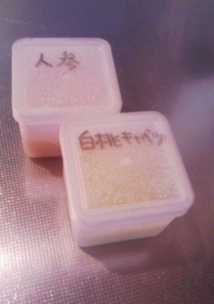 タッパーでの保存食をわかりやすく-レシピのメイン写真