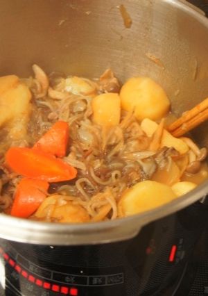 水なし！圧力鍋のとろける肉ごぼじゃが-レシピのメイン写真