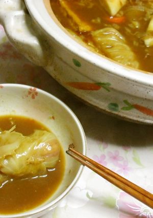 うどんスープでカレーおでん♪-レシピのメイン写真