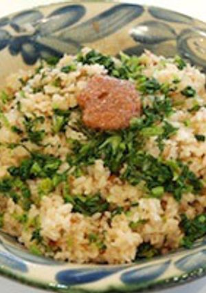 チキ菜入り炊き込みご飯-レシピのメイン写真