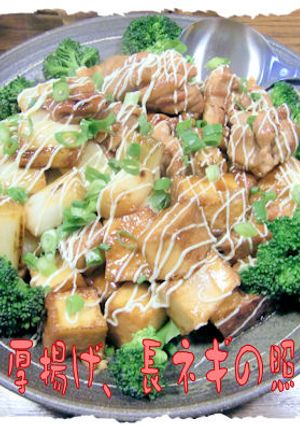 簡単！【鶏と厚揚げ、長ネギの照り焼き】♪-レシピのメイン写真