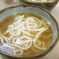基本からアレンジまで！思わずつくりたくなる「素うどん」のレシピ集 