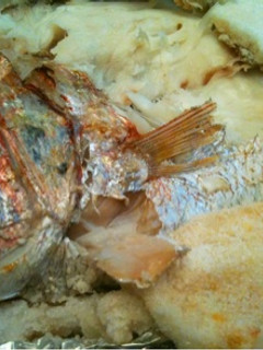 お祝い鯛の塩釜焼き~簡単!魚焼きグリルで-レシピのメイン写真