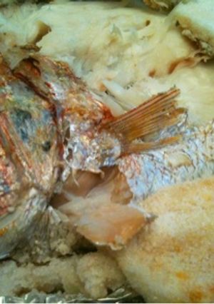 お祝い鯛の塩釜焼き～簡単！魚焼きグリルで-レシピのメイン写真
