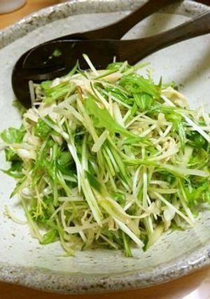 水菜とねぎの辛~いサラダ-レシピのメイン写真