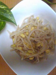 豆もやしのナムル-レシピのメイン写真