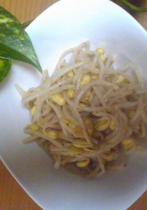 豆もやしのナムル-レシピのメイン写真