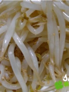 もやしナムル-レシピのメイン写真