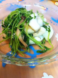 豆苗といかとしょうがのからし炒め-レシピのメイン写真