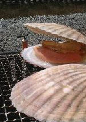 ホタテの炭火焼き-レシピのメイン写真