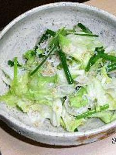レタスとねぎのさっぱりサラダ-レシピのメイン写真