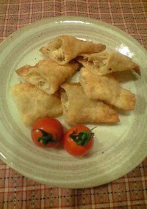 餃子の皮の包み揚げinツナ☆-レシピのメイン写真
