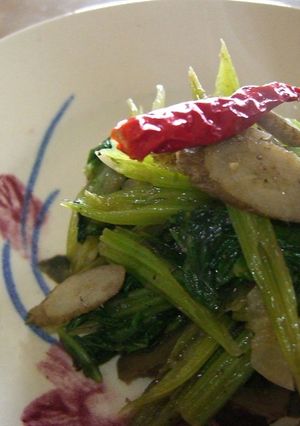 若ごぼう★ベトナム風炒め　隠し味は・・-レシピのメイン写真