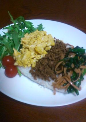 ガッツリ三色丼-レシピのメイン写真