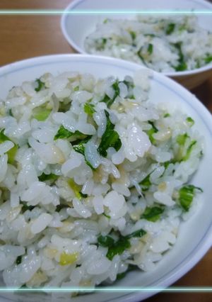 超カンタン☆春菊とじゃこのうまうまごはん-レシピのメイン写真