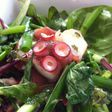 タコとセロリの和風ハーブサラダ