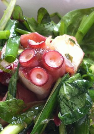 タコとセロリの和風ハーブサラダ-レシピのメイン写真