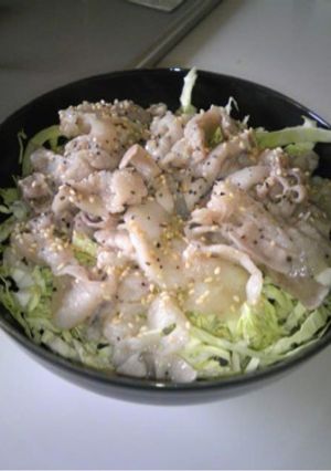 市販のたれを使って簡単♪塩焼肉ぶた丼-レシピのメイン写真