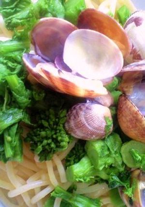 冷凍パスタで浅利と菜の花の春パスタ-レシピのメイン写真