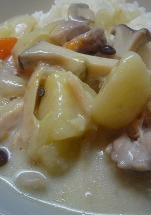 美味しい☆きのことチーズのシチュー-レシピのメイン写真