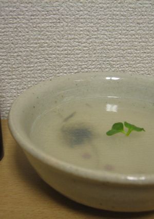 さっぱりヘルシー寒ドリンク-レシピのメイン写真