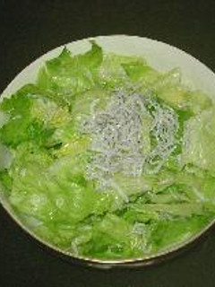 レタスの簡単サラダ-レシピのメイン写真
