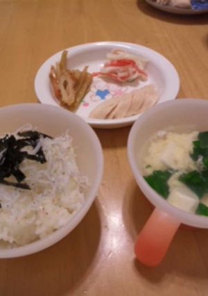 塩鶏ささみ・我が家の控えめ夕飯-レシピのメイン写真