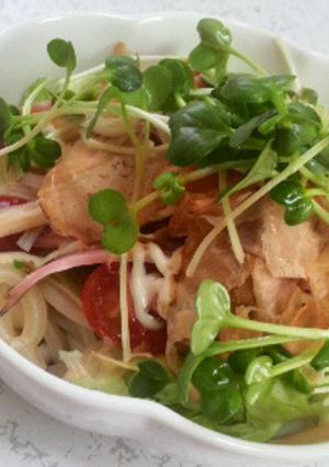 冷凍うどんで作る！簡単サラダうどん☆゜-レシピのメイン写真