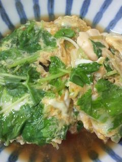 とうふと鶏肉の卵とじ♪-レシピのメイン写真