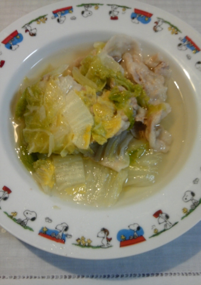 白菜と豚肉の重ね煮-レシピのメイン写真