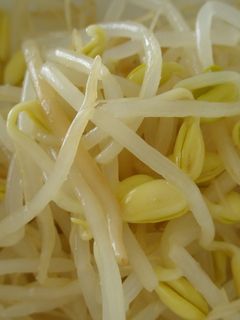 豆もやしのナムル風★-レシピのメイン写真