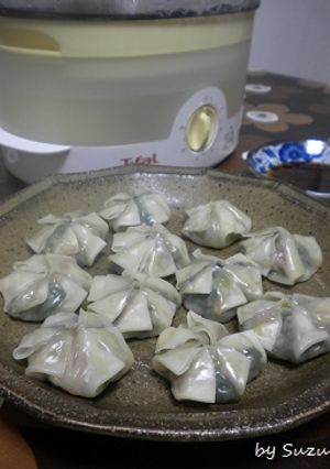 ほうれん草の蒸し餃子-レシピのメイン写真