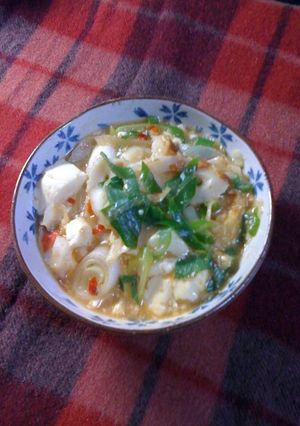寒い日にぴったり♪豆腐長ネギの豆板醤炒め-レシピのメイン写真