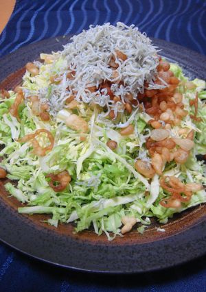 ポンポン♪揚げ玉アクセント♪じゃこサラダ-レシピのメイン写真
