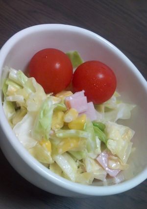 春色コールスロー-レシピのメイン写真