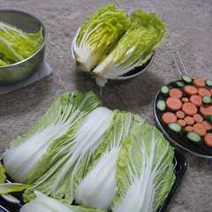 รูปของ 干し野菜・・・干すだけ