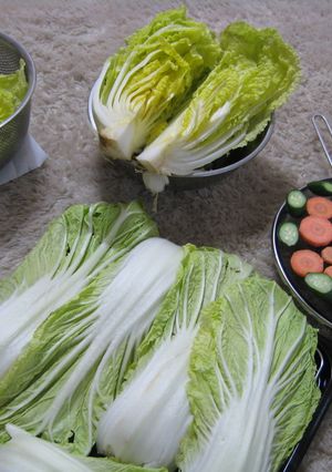 干し野菜・・・干すだけ-レシピのメイン写真