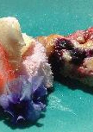3月のお菓子　春ベリーのタルト-レシピのメイン写真
