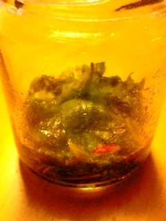ピリ辛しその葉-レシピのメイン写真