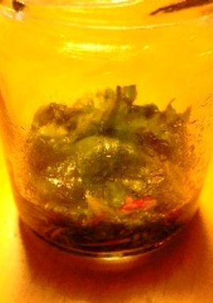 ピリ辛しその葉-レシピのメイン写真