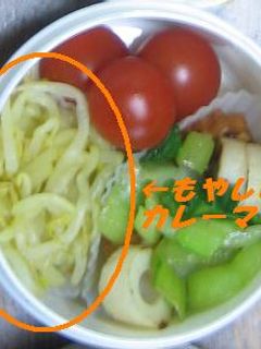 寿司酢DEもやしのカレーマリネ-レシピのメイン写真