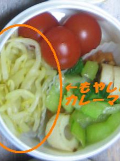 寿司酢DEもやしのカレーマリネ-レシピのメイン写真