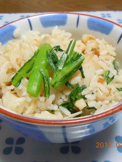 菊菜入り炊き込みご飯-レシピのメイン写真