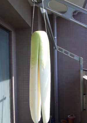 大根の干し方（ばっくり！簡単！）-レシピのメイン写真