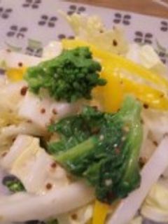 白菜と菜の花のサラダ-レシピのメイン写真