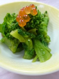 菜の花のからし醤油和え-レシピのメイン写真