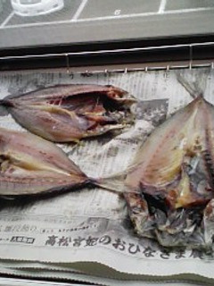 鯵の干物作り-レシピのメイン写真