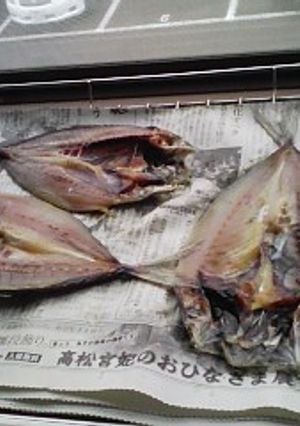 鯵の干物作り-レシピのメイン写真