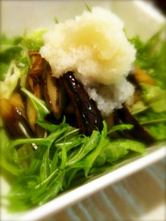 ナスと水菜のおかずサラダ-レシピのメイン写真